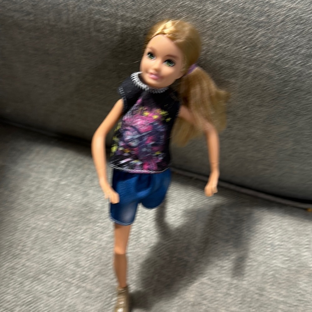 2010 Mattel Barbies Little Sister
